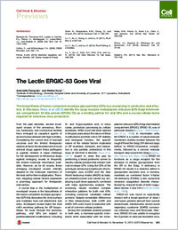 Full-text