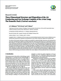 Full-text