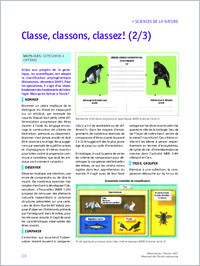 Fierz_Samuel_et_al_Resonances_2021_fevrier_Classe_classons_classez_2-3.pdf