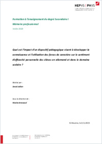 Memoire_Professionnel_Jollien_David_2023