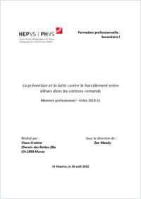 Memoire_professionnel_Vieux_Cristina_2022